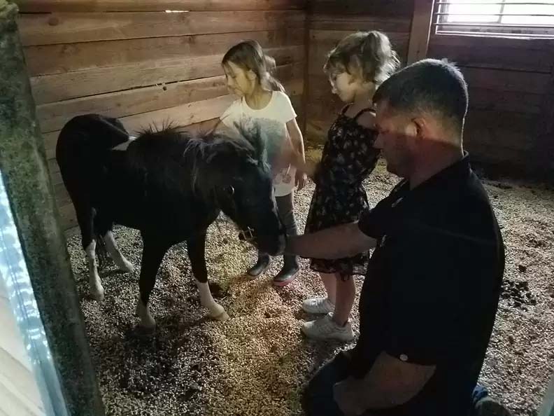 Rescued Pony Hugs Man Who Saved His Life